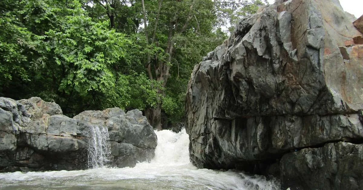 Boirpadav