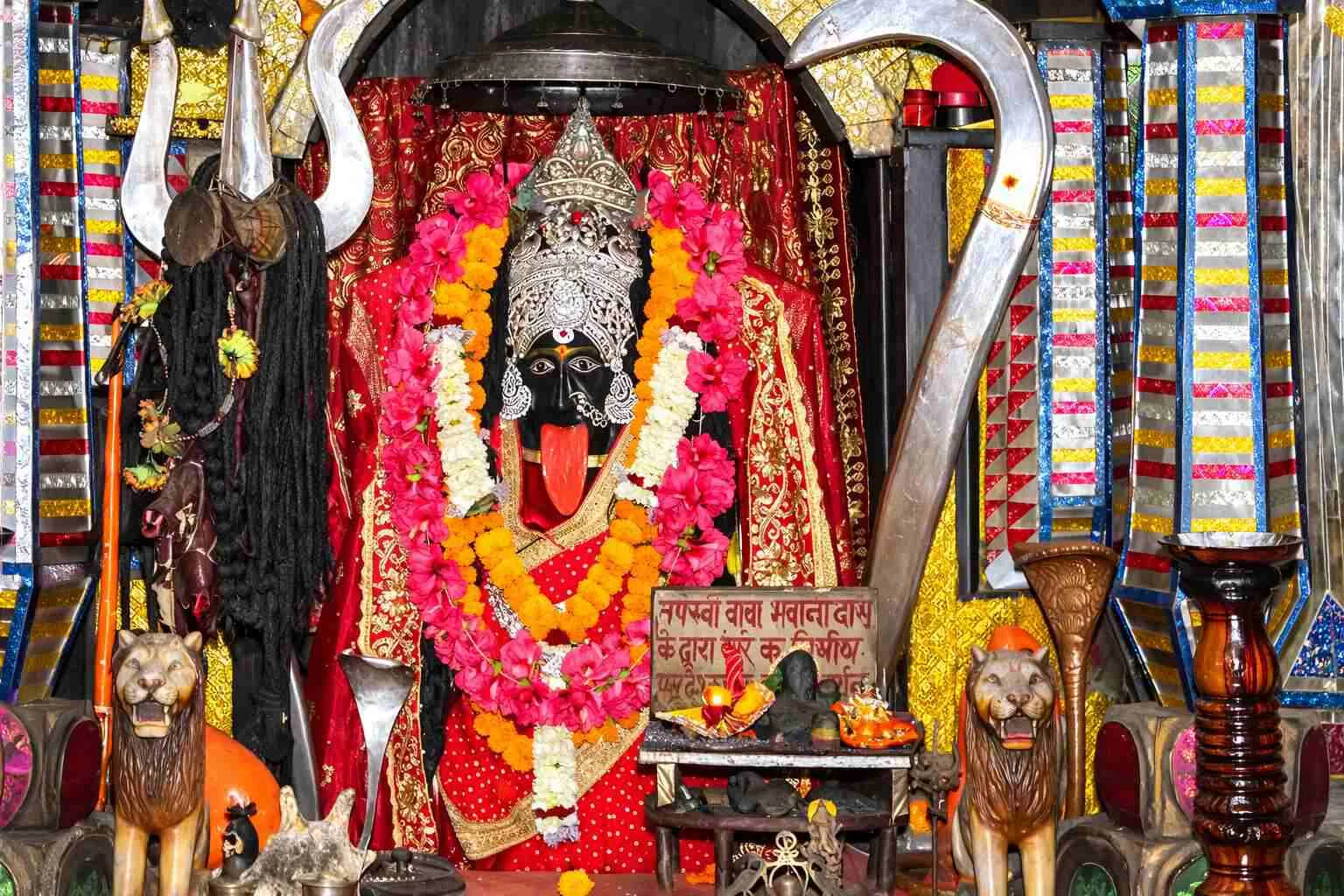 "तिफरा काली मंदिर बिलासपुर छत्तीसगढ़ में स्थापित माँ काली की भव्य प्रतिमा"