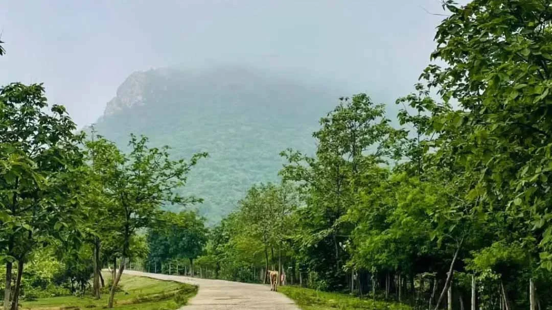 Dalha Pahad Janjgir Champa Chhattisgarh ka prasiddh dharmik pahad aur Surya Kund