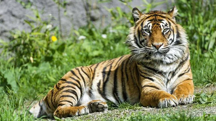 Kanger Ghati National Park Bastar Chhattisgarh की प्राकृतिक सुंदरता, जंगल और गुफाओं का दृश्य