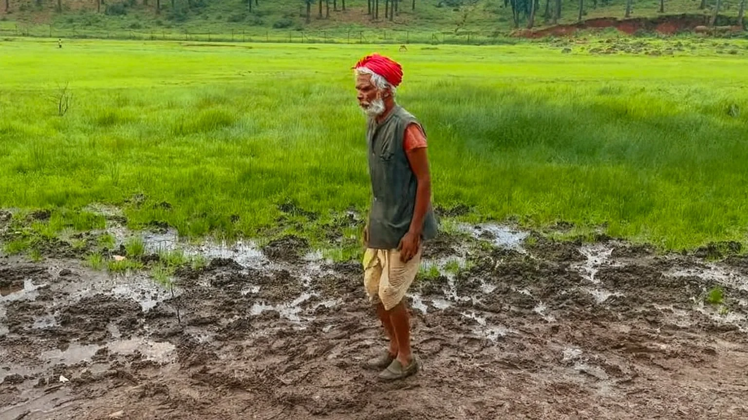 मैनपाट छत्तीसगढ़ की खूबसूरत वादियां